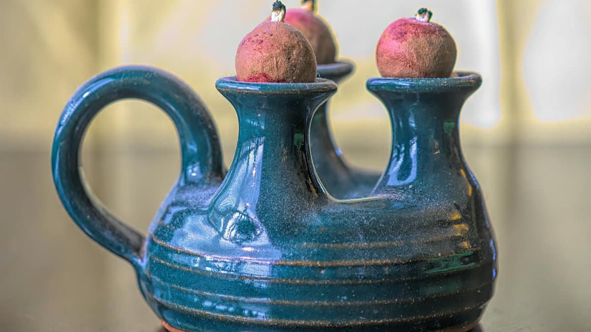 A detailed shot of a unique ceramic teapot adorned with artistic fruit designs.
