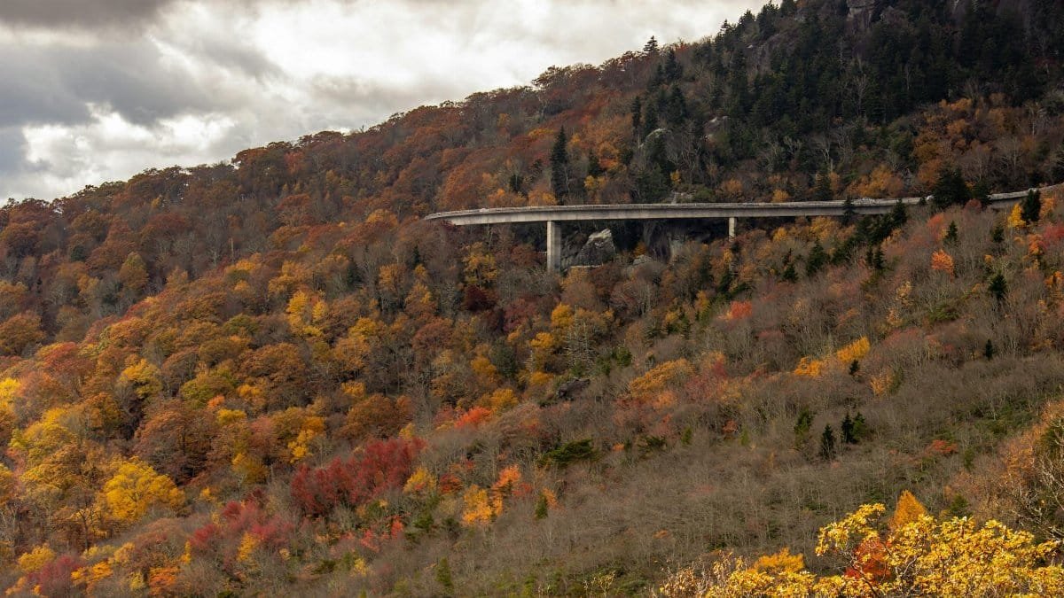 A stunning autumn landscape of the Blue Ridge Parkway with vibrant fall foliage and majestic mountains.