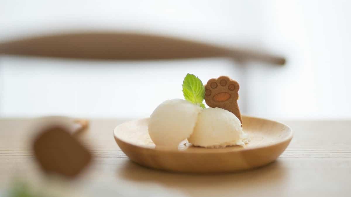 Delicious vanilla ice cream with a paw-shaped cookie and mint leaf garnish, served on a wooden plate.
