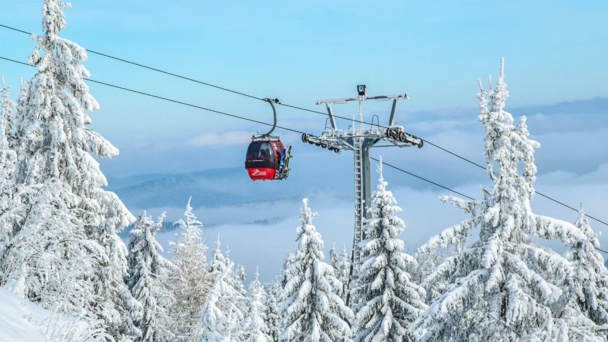 Snow-covered ski lift in Krynica-Zdrój, Poland, amidst wintry forest scenery.