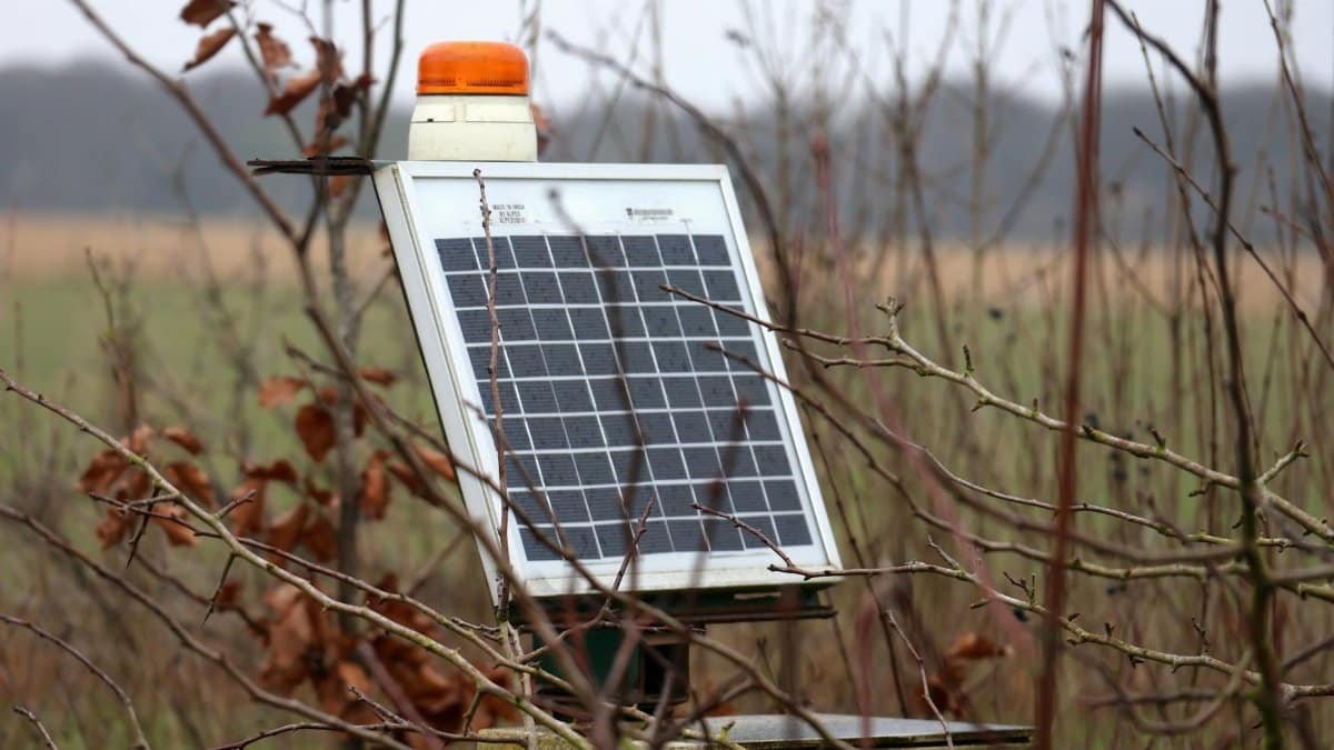 A solar panel surrounded by dry branches in a rural autumn setting, highlighting green technology in nature.
