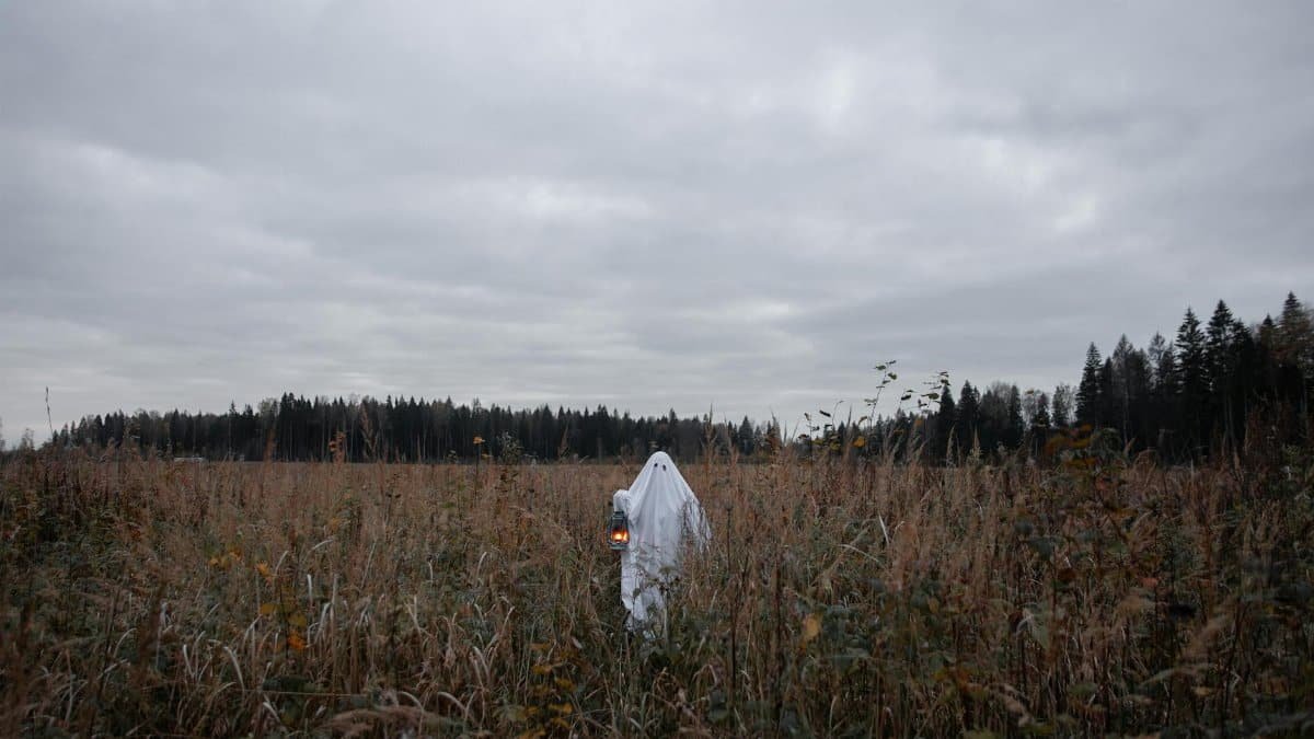 A person dressed in a ghost costume standing in a foggy field at dawn creates a spooky atmosphere.