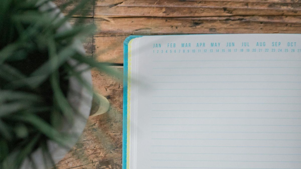 Flat lay of an empty notebook on wooden surface with a plant on one side.