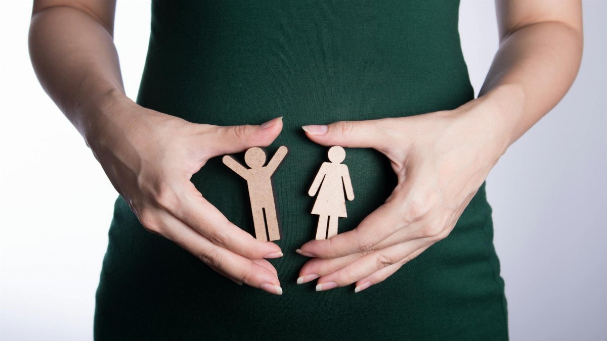 Close-up of a woman holding wooden gender cutouts, symbolizing gender and family concepts.