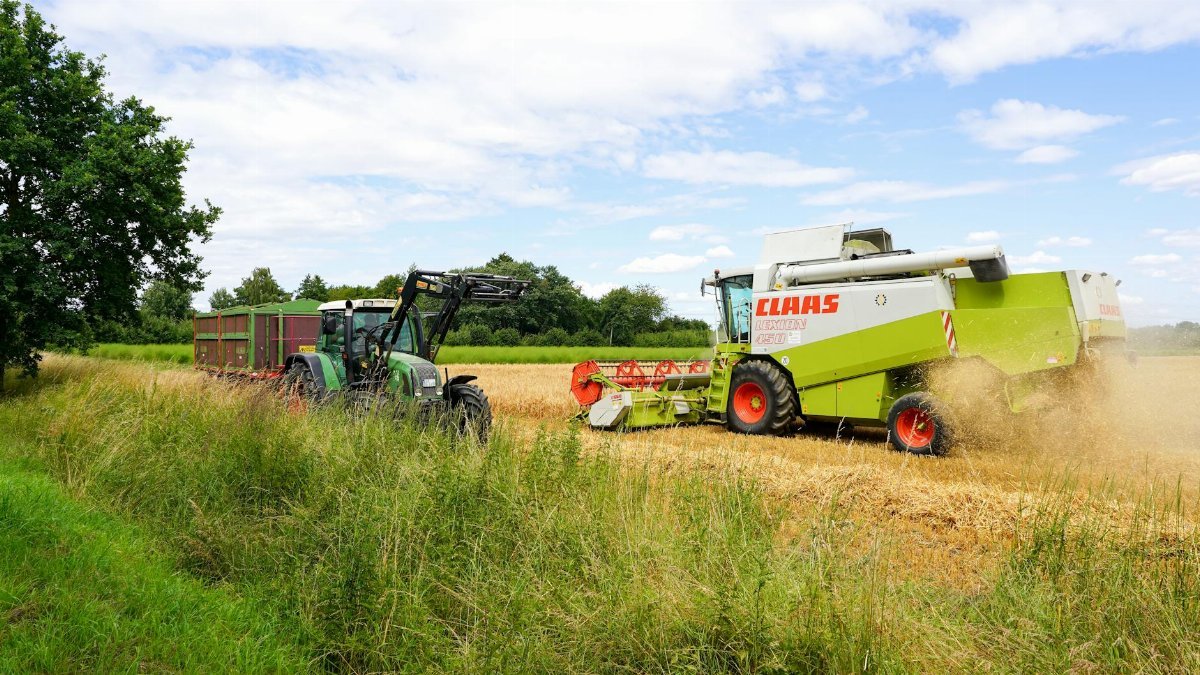 Combine harvester working in a wheat field in Geesthacht, Germany, during summer.