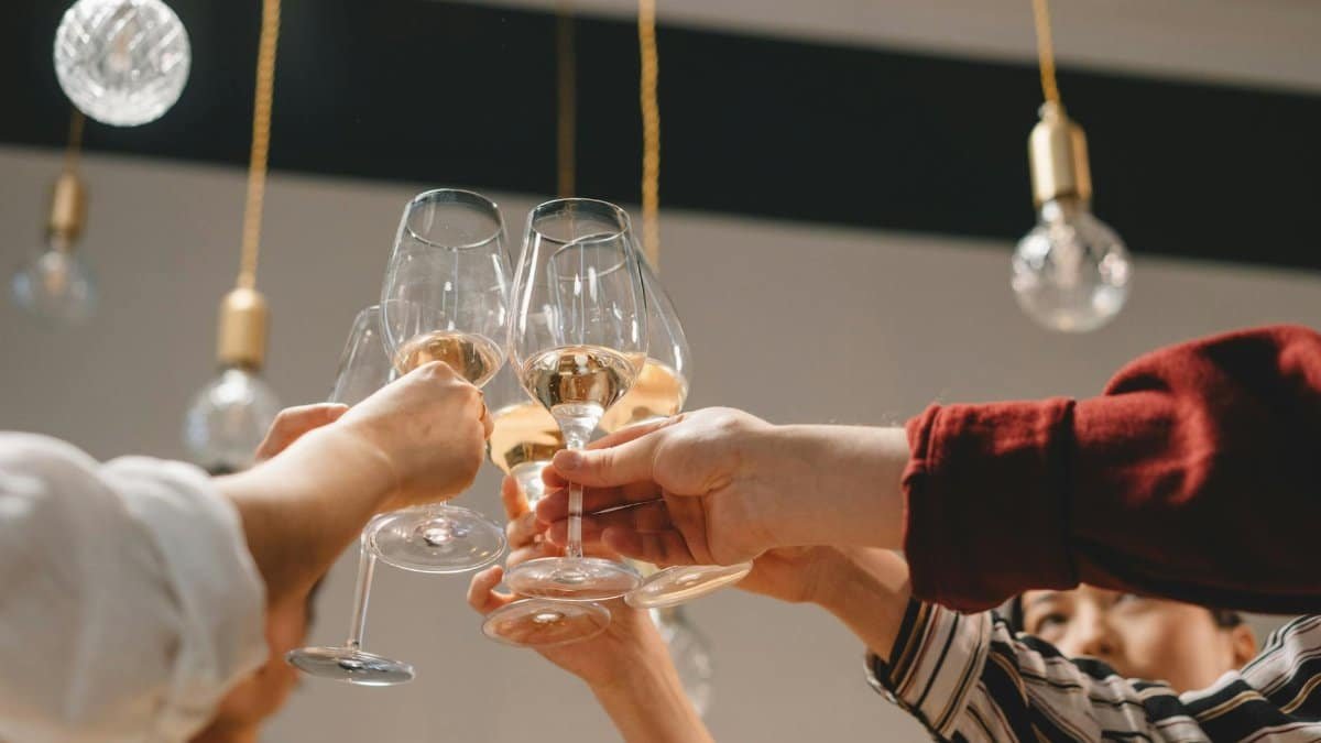 Group of friends celebrating with a toast of wine glasses indoors.