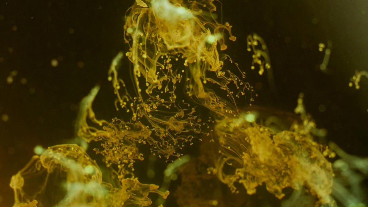 Close-up of swirling yellow paint creating an abstract fluid motion and texture pattern.