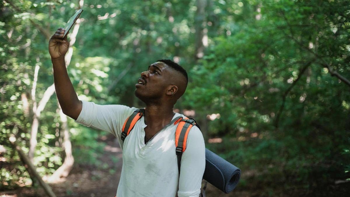 African American male with backpack standing in forest and holding mobile phone while catching GPS signal during hike