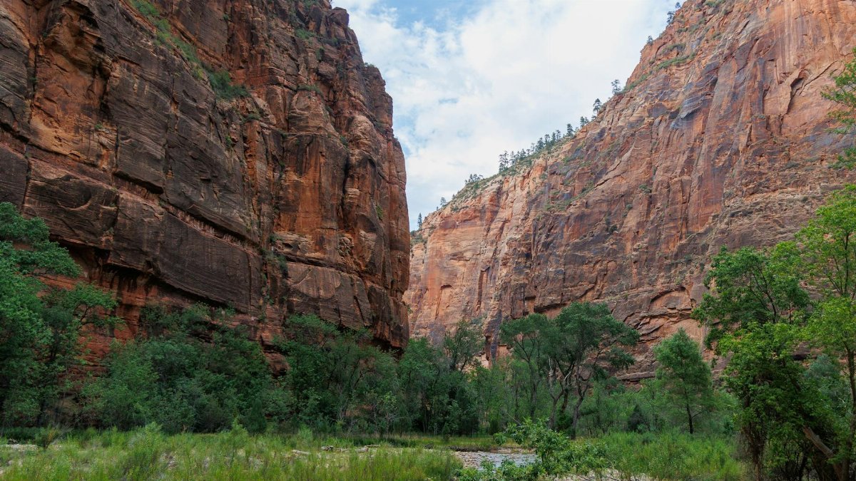 Stunning view of red rock canyons and lush green trees in Zion National Park, Utah.