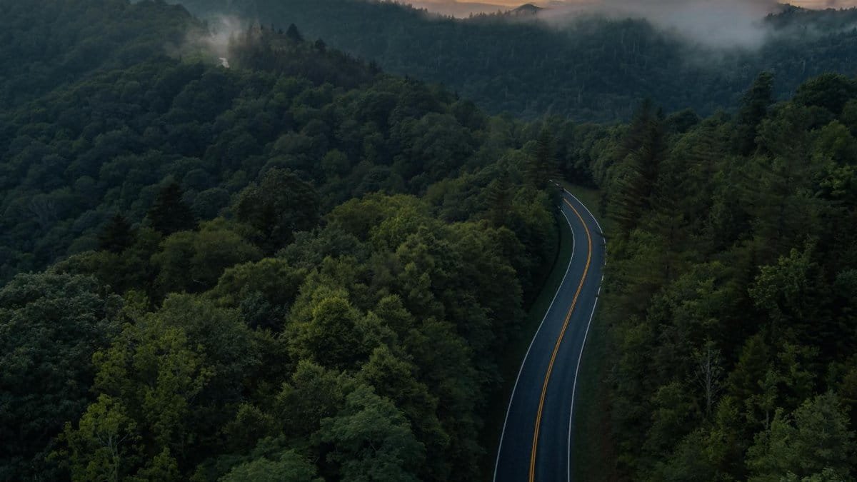 Aerial view of winding road through lush Smoky Mountains in Gatlinburg at sunset, surrounded by mist.