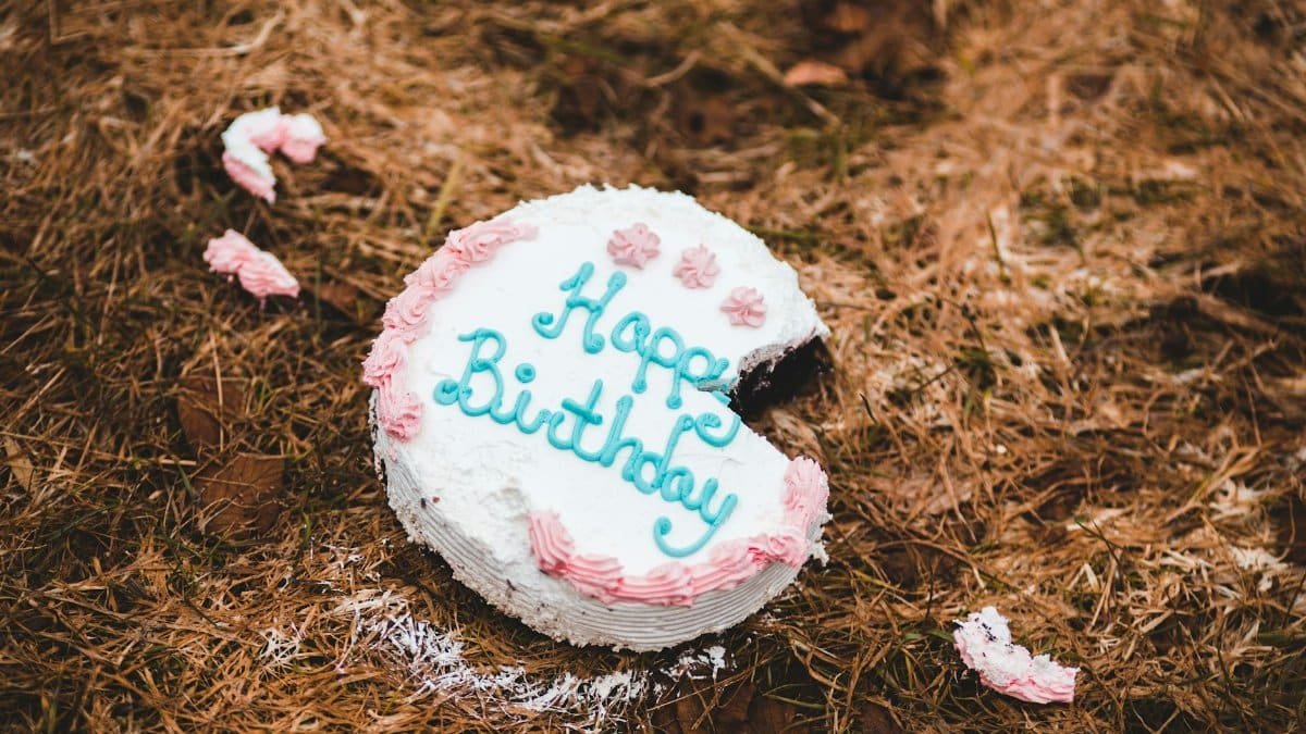 A partially eaten birthday cake lies on the ground outdoors, surrounded by pine needles.