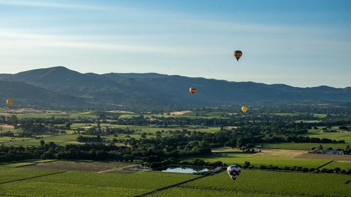Scenic view of hot air balloons soaring above lush vineyards in Napa Valley, California.