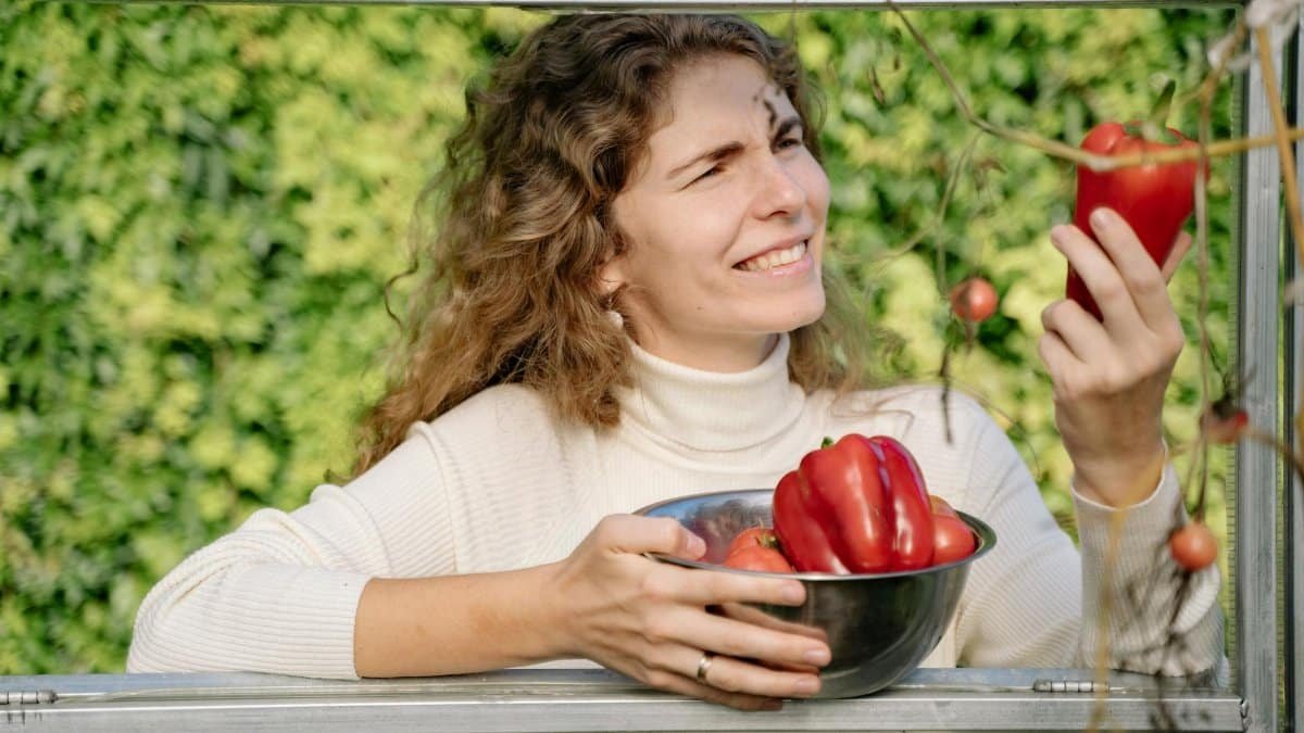 A happy woman picking fresh organic bell peppers, smiling in her garden.