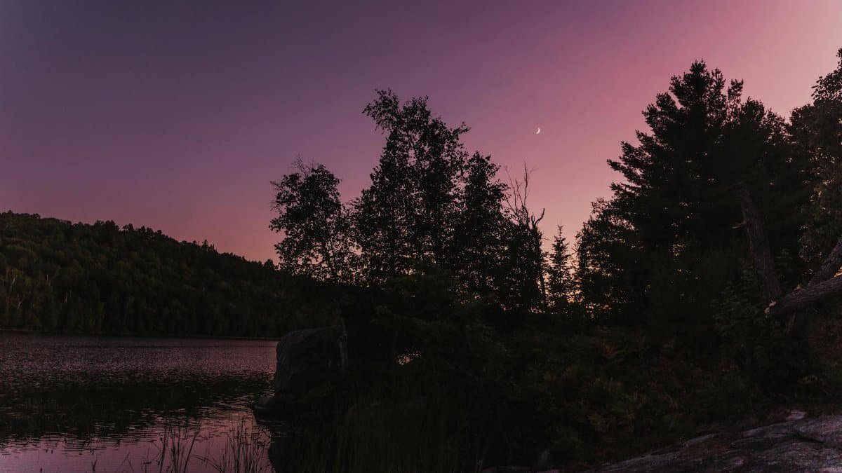 A tranquil twilight view over a lake with silhouetted trees and a crescent moon.