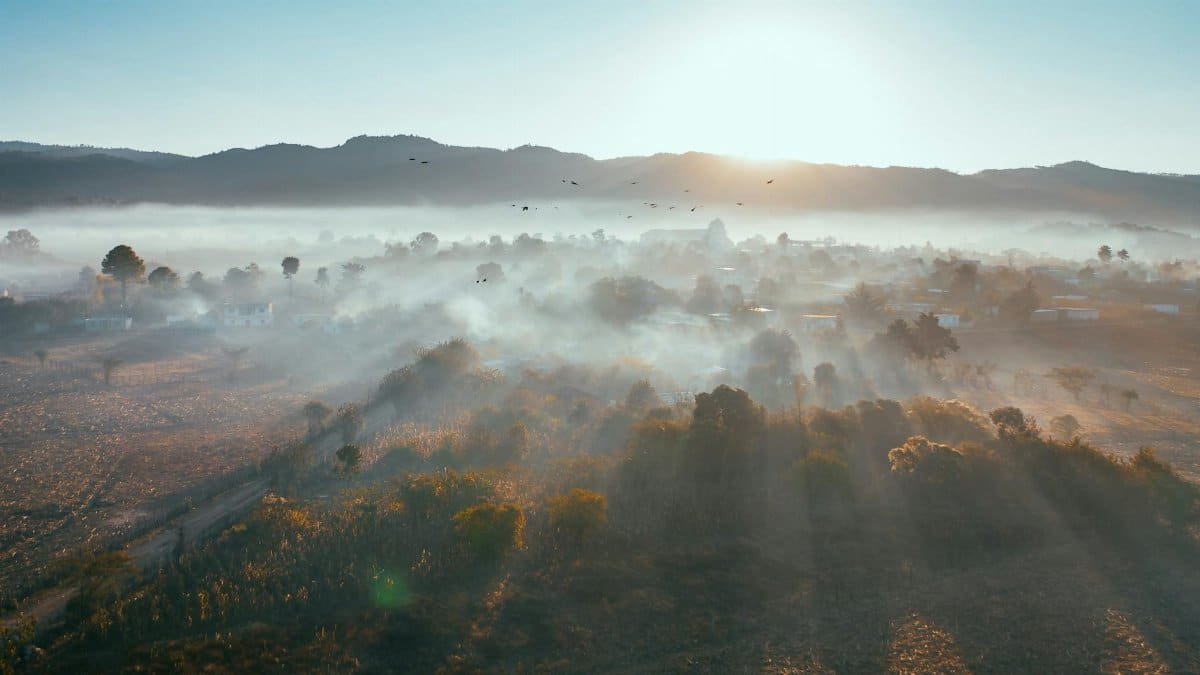 Breathtaking aerial view of a foggy valley during sunrise, showcasing natural beauty and serenity.