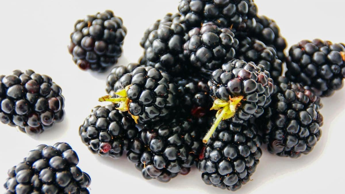 A vibrant close-up of fresh blackberries on a white background, highlighting their juicy texture.