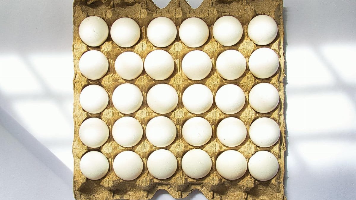 A flat lay of white eggs neatly arranged in a cardboard tray on a sunlit surface.