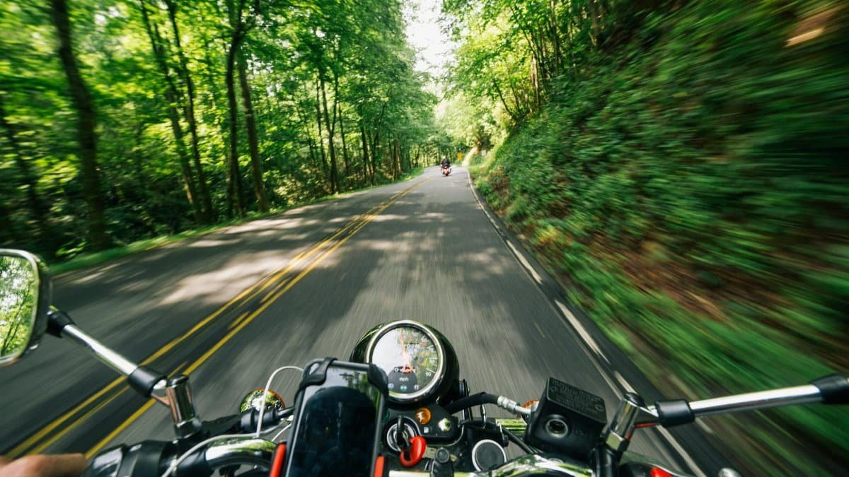 Experience the thrill of speed on a motorcycle journey through lush, winding forest roads.