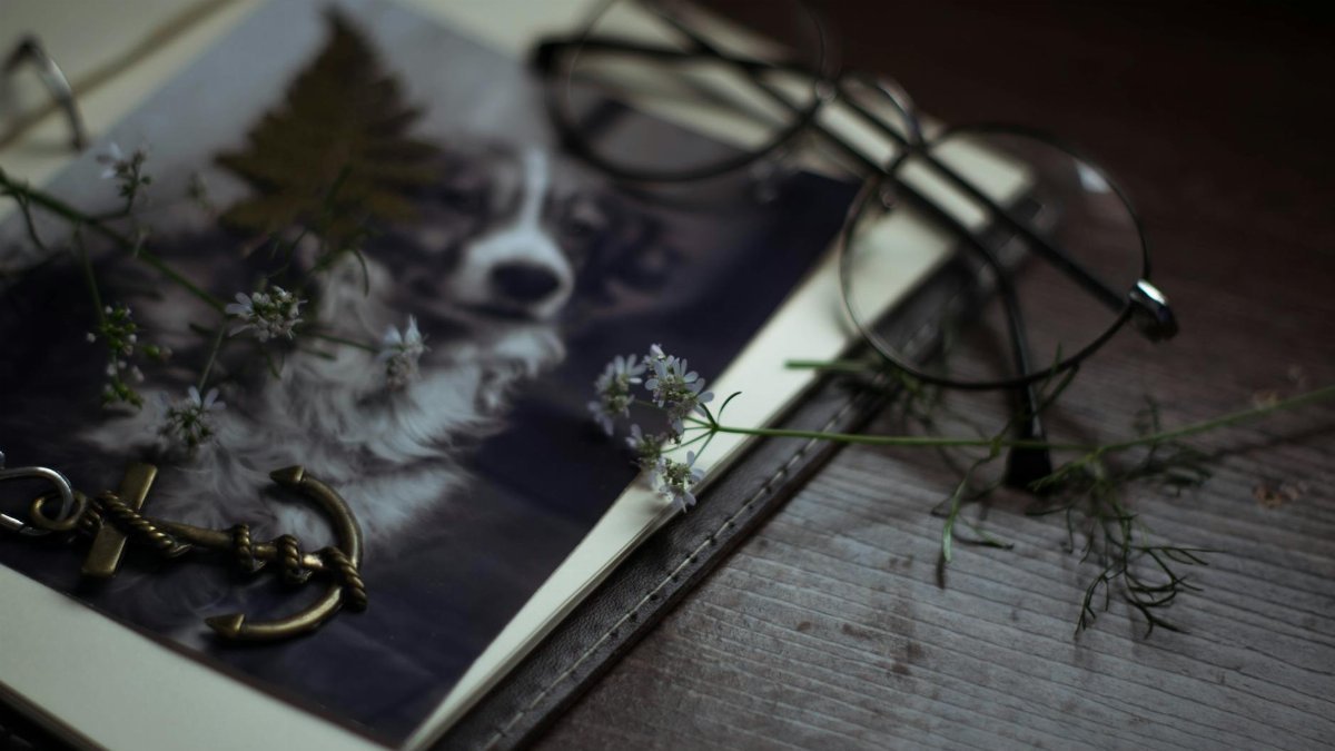 From above composition of anchor styled pendant and eyeglasses placed on opened photo album with adorable dog image