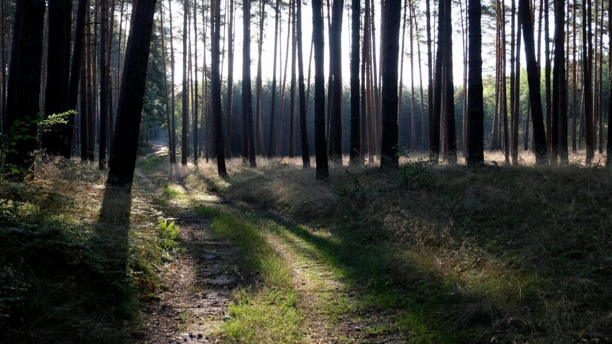 Booking Surge Signals Growing Demand