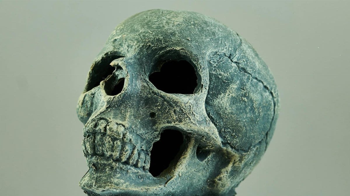 Detailed view of an ancient skull with rugged texture, highlighting eerie features.