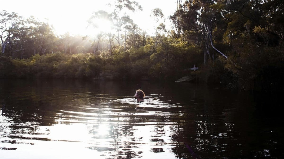 Person swimming in a tranquil forest lake during daylight, surrounded by nature.