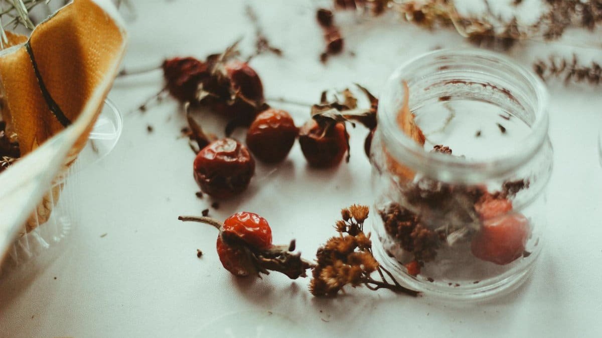 Aesthetic arrangement of dried rosehips and herbs in an open jar on a soft-toned surface.