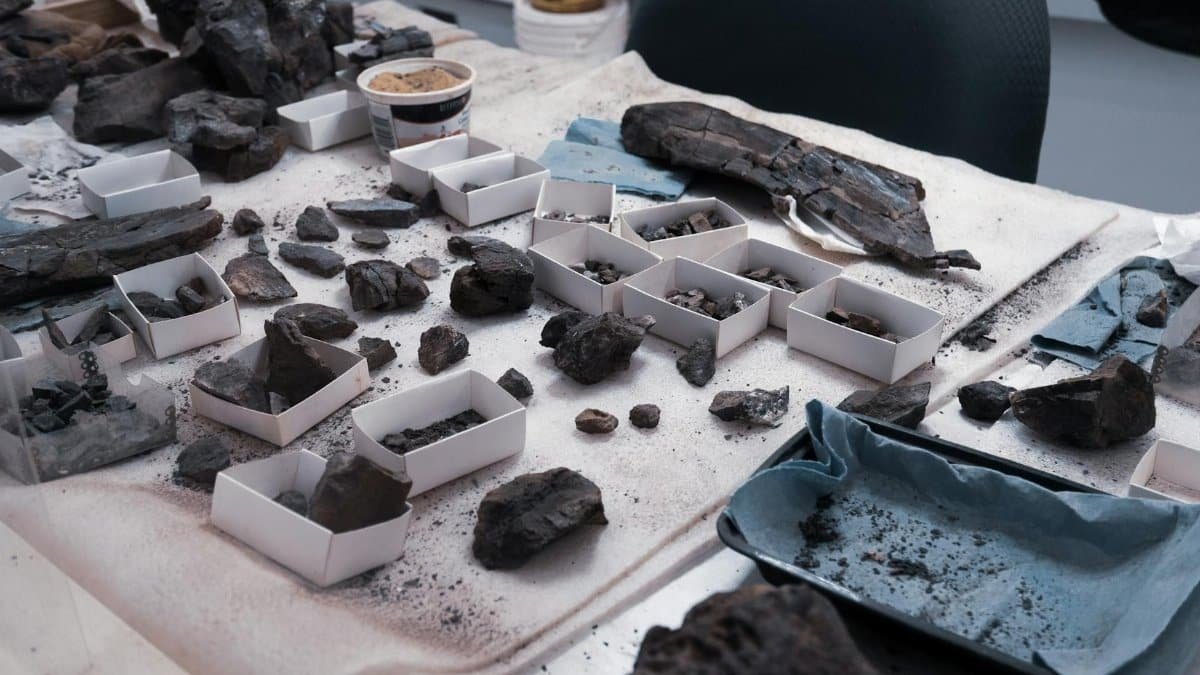 A cluttered desk showcasing various archaeological findings and ancient artifacts.