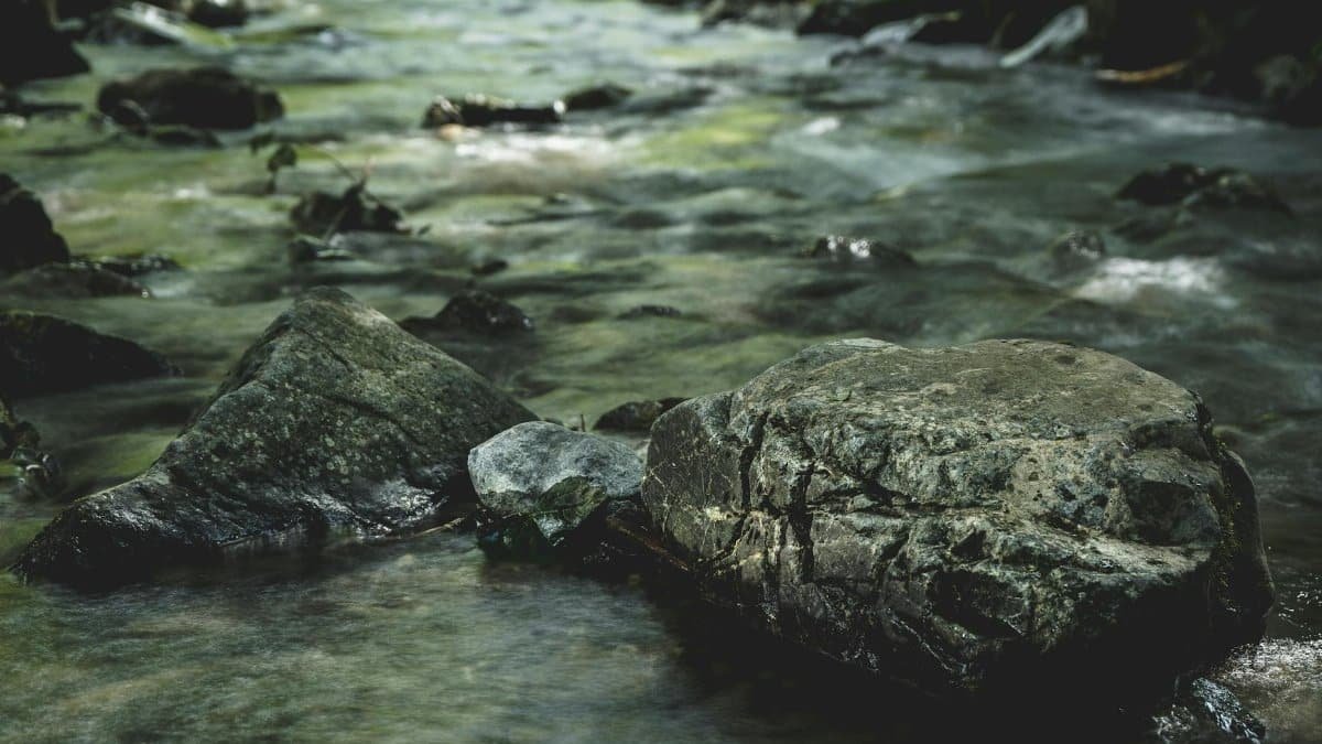 A tranquil stream flowing over smooth rocks in a lush, green forest setting.