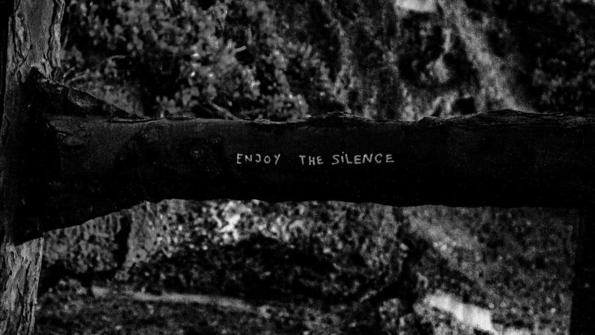 Black and white image featuring 'Enjoy the Silence' text on a tree branch in a forest setting.