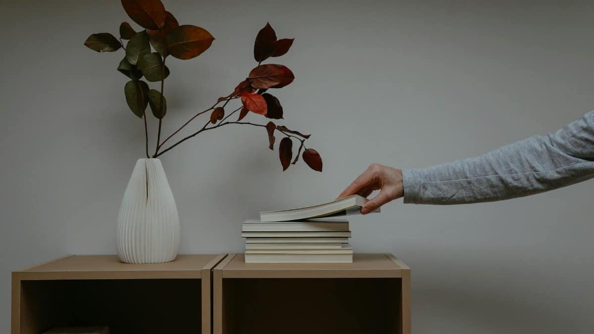 A minimalist bookshelf with a decorative vase of leaves, featuring a hand reaching for a book.