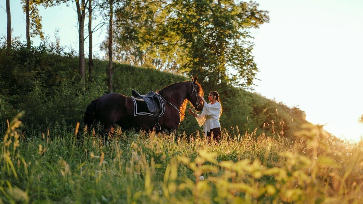 A woman standing with her horse in a green field during a warm sunset.