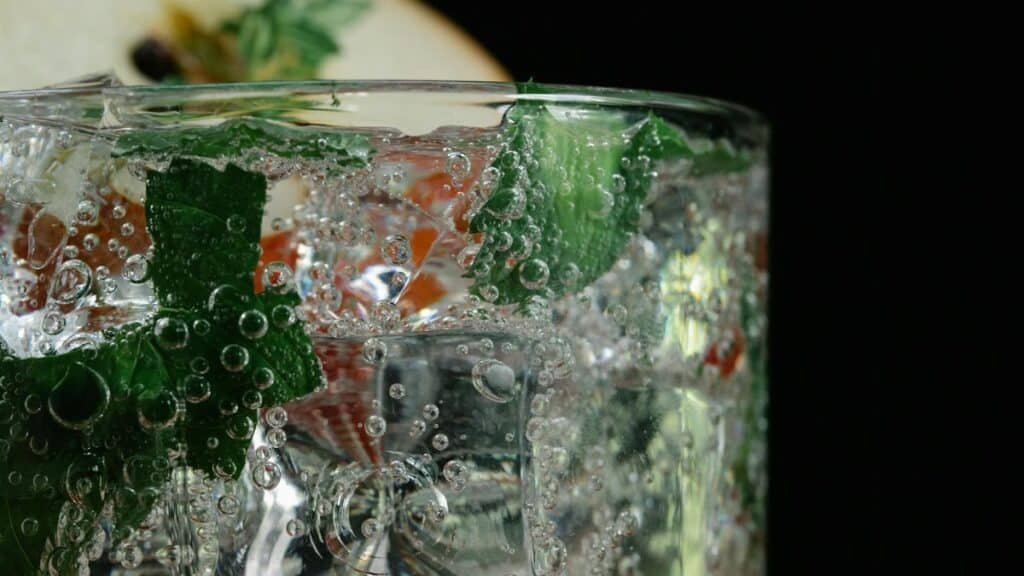 Close-up of a glass with sparkling water, ice, mint leaves, and fruit slice.