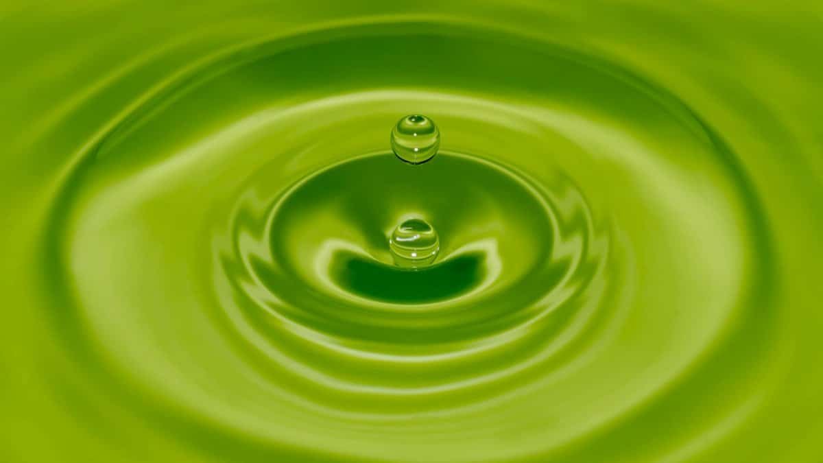 Macro shot of a single water droplet creating ripples on a vibrant green surface.