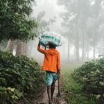 A man walks through a misty forest in Bangladesh, carrying a bag on his head, surrounded by lush greenery.