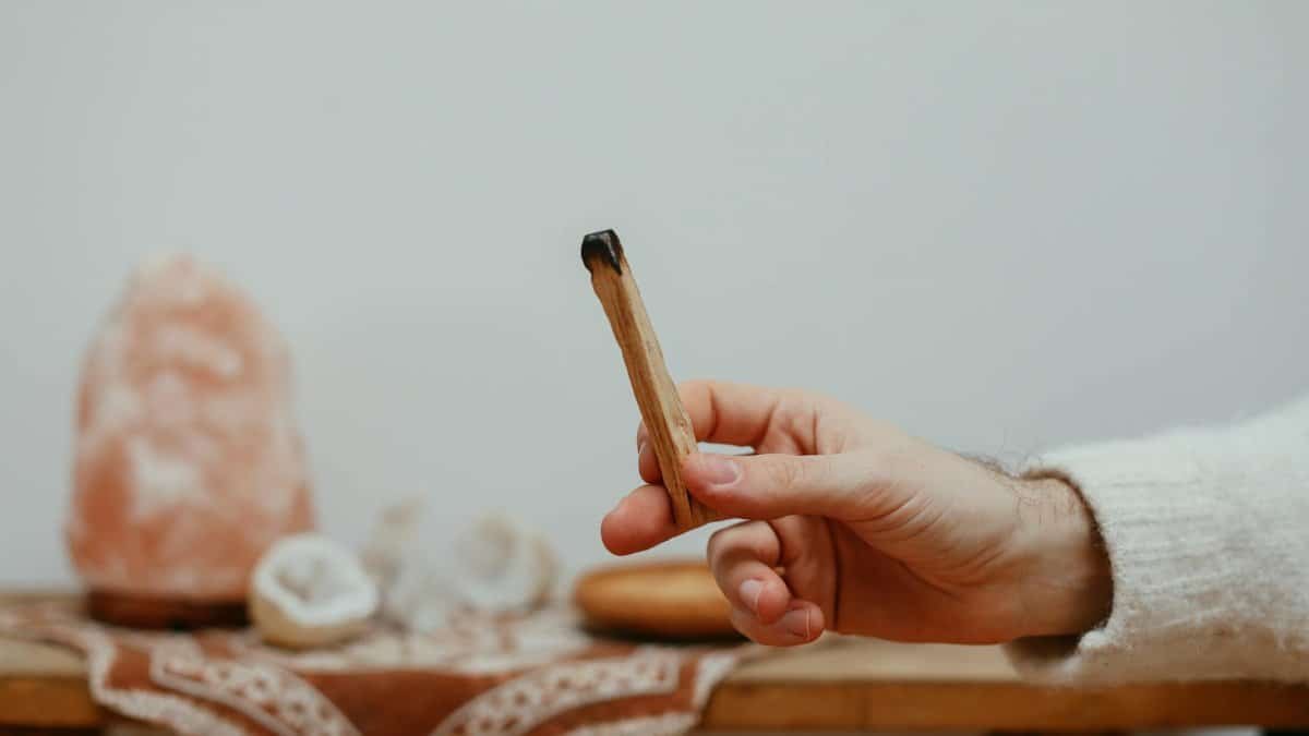 A close-up of a hand holding a Palo Santo stick, symbolizing mindfulness and relaxation.