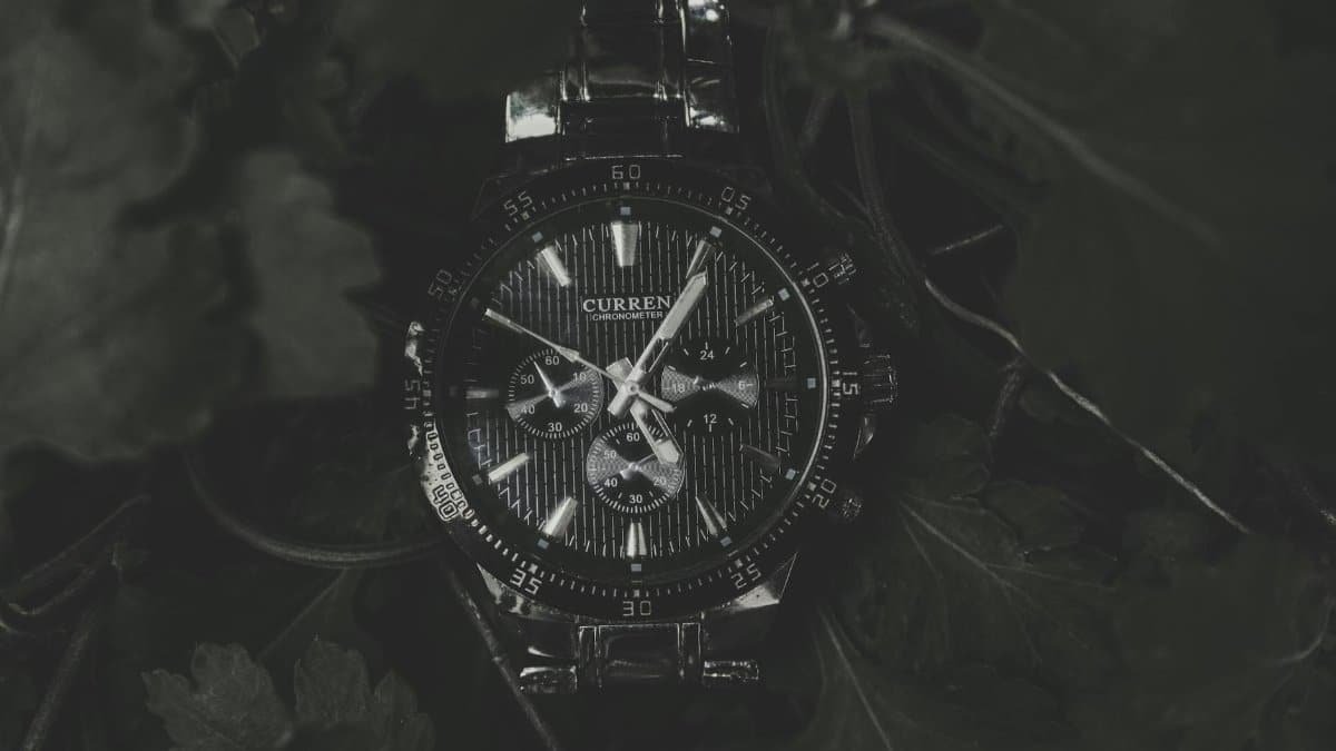 Close-up of an elegant vintage chronograph watch with a dark and moody aesthetic, nestled among leaves.