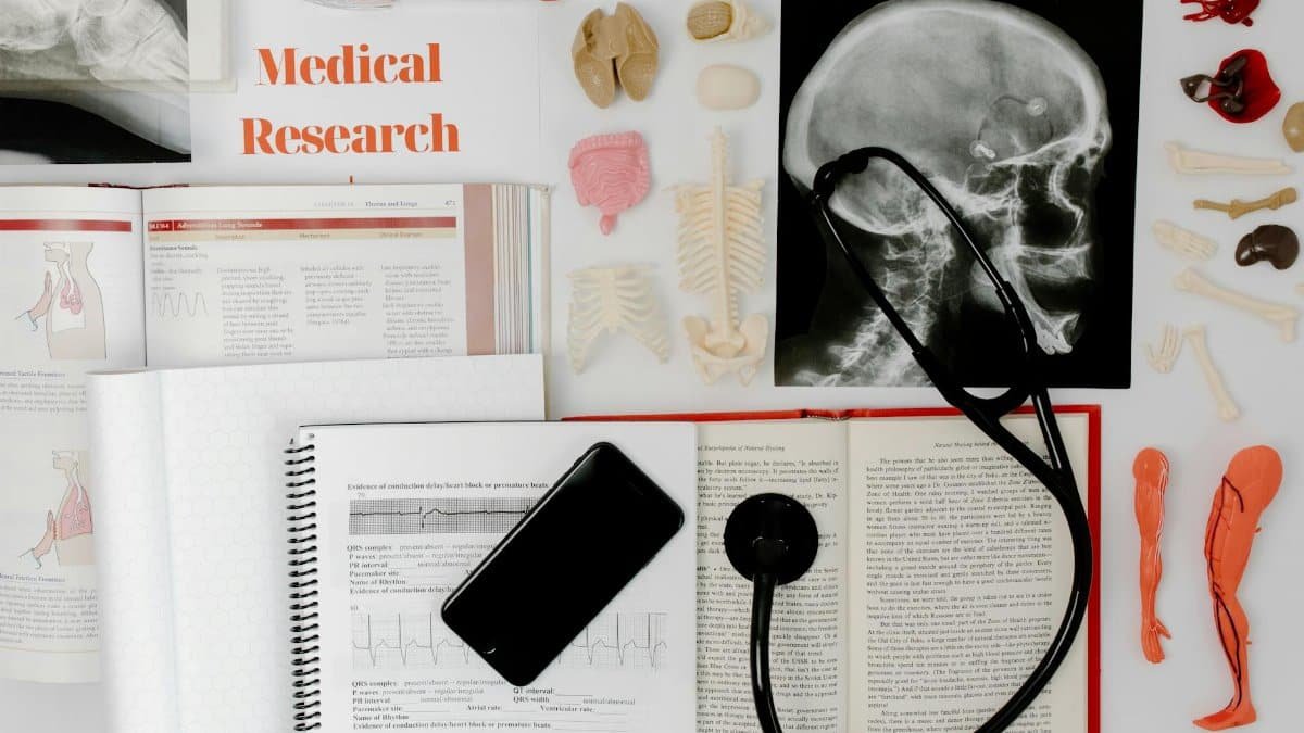 Flat lay of medical research materials with a stethoscope and anatomical models.