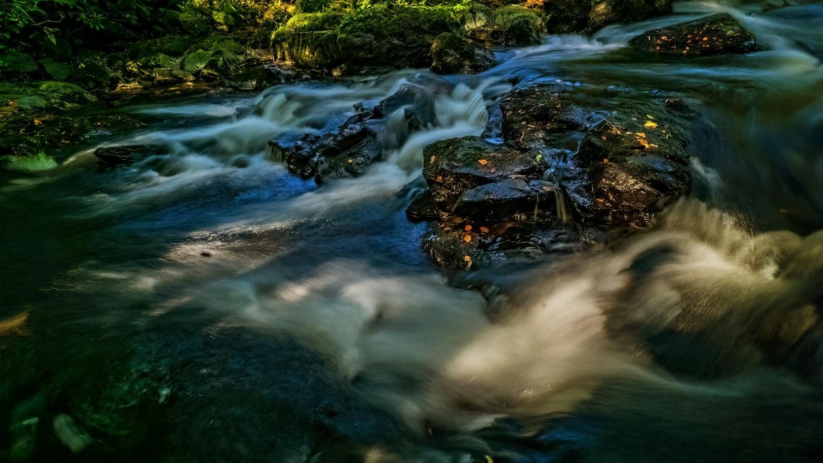 A tranquil mountain stream flowing over mossy rocks in a lush forest setting.