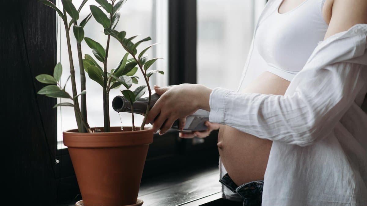 A pregnant woman nurturing a potted plant indoors, symbolizing growth and care.