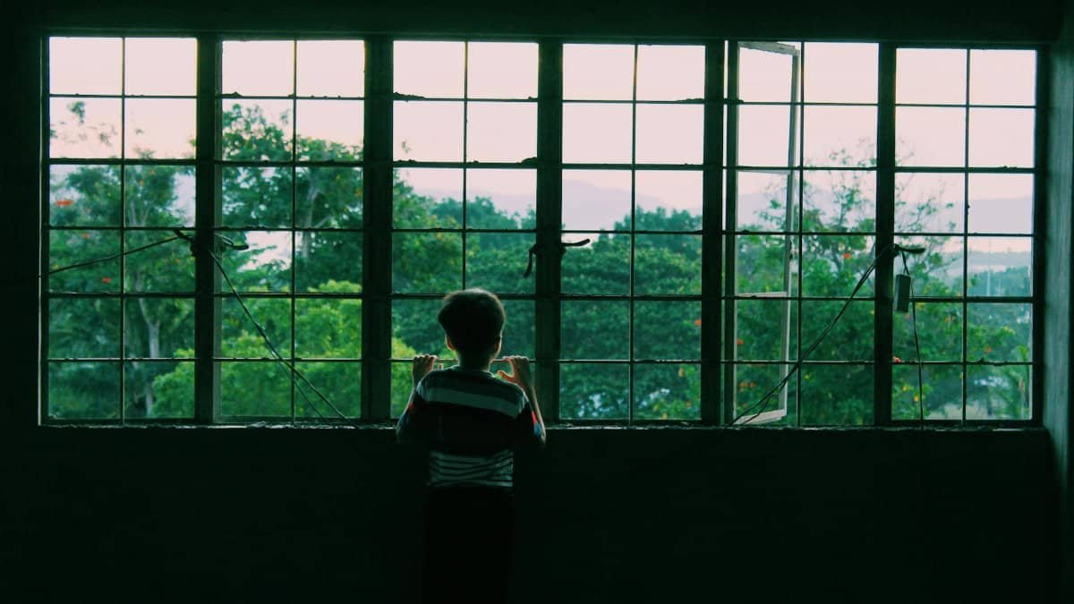 A young child looking through a large window with lush greenery outside.