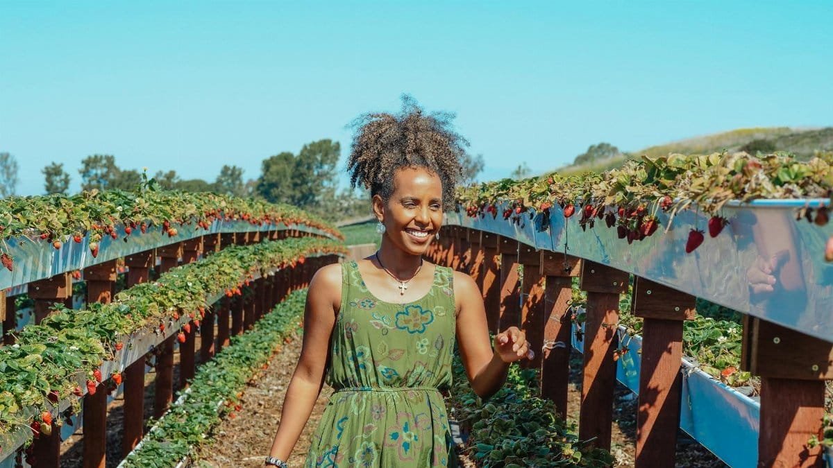 African woman enjoying a sunny day at a strawberry farm, surrounded by lush plants.