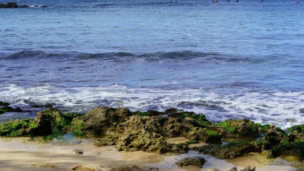 Peaceful beach scene showcasing rocks and clear water on a Hawaiian beach.