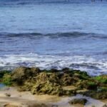 Peaceful beach scene showcasing rocks and clear water on a Hawaiian beach.