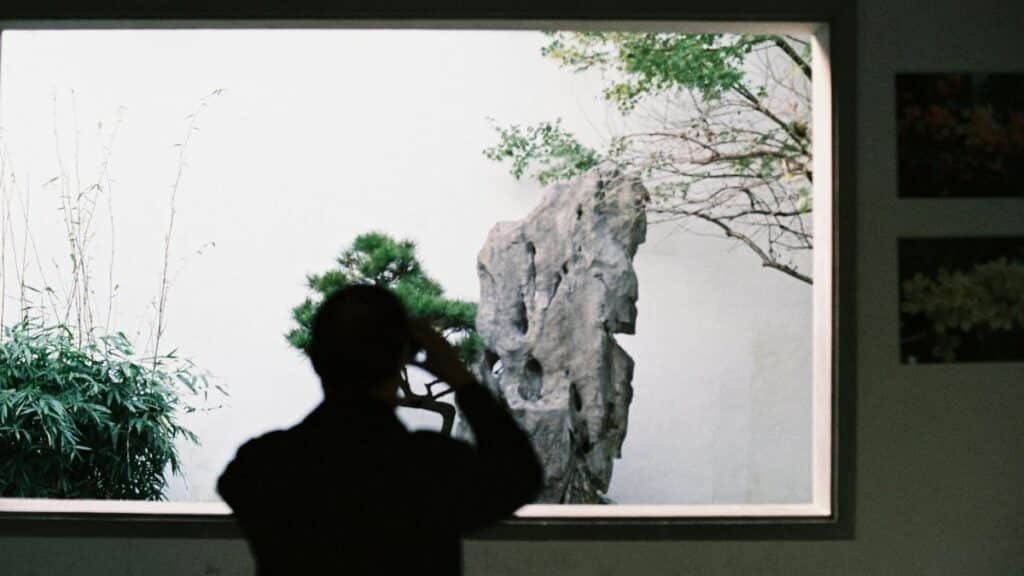 Silhouette of a man taking a photo inside a museum with greenery outside.