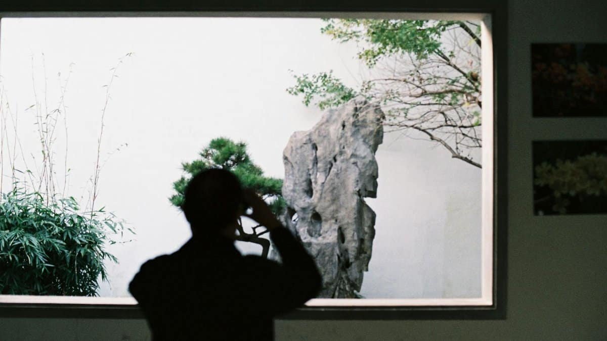 Silhouette of a man taking a photo inside a museum with greenery outside.