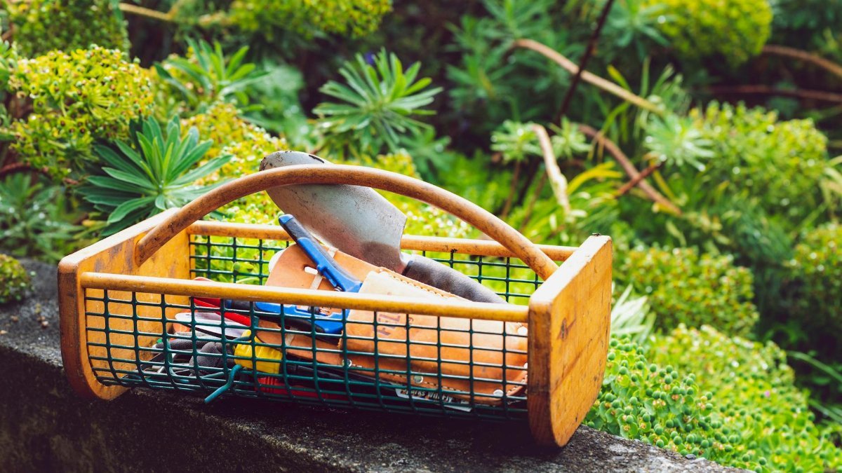 Wooden basket with garden tools on a stone ledge surrounded by greenery.
