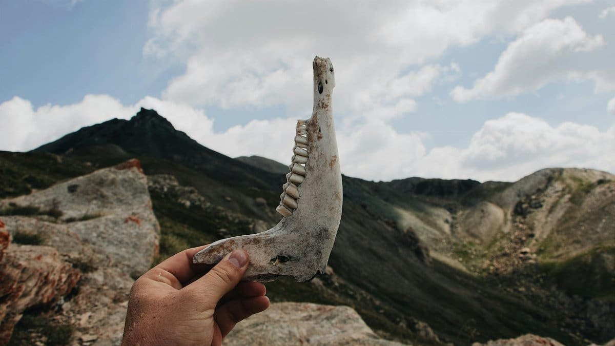A person holding an animal jawbone in the mountains under a cloudy sky.