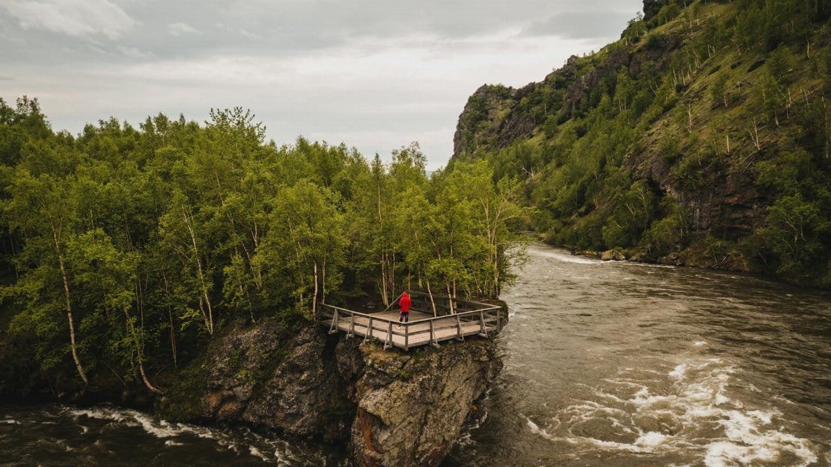 Person in red standing on a scenic viewpoint deck amidst a lush forest overlooking a flowing river.