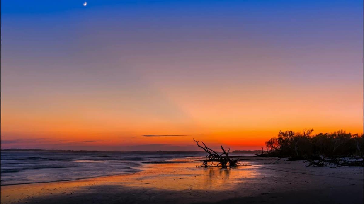 Dramatic sunset over Folly Beach, SC with driftwood and moonlit reflections.
